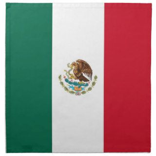 Mexican Flag on MoJo Napkin