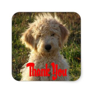 Goldendoodle Puppy Dog Thank You Sticker / Label