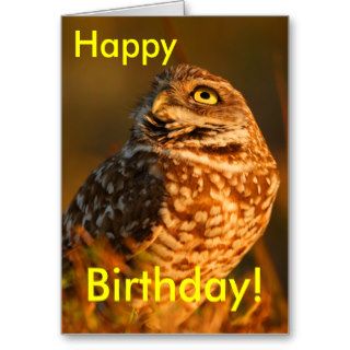 Owl Greeting Card