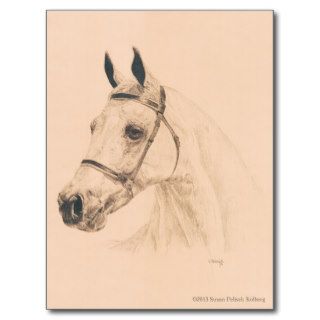 Horse Sketch by Susan Pelisek Kolberg Post Cards