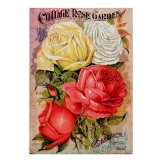 Vintage Seed Catalog, Cottage Rose Garden Poster
