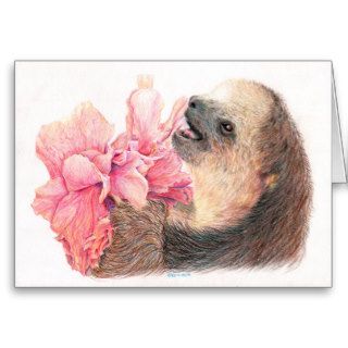 Sloth eating hibiscus flower greeting cards