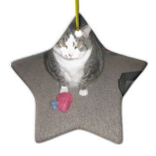 Grumpy Fat Cat is not amused Christmas Tree Ornaments