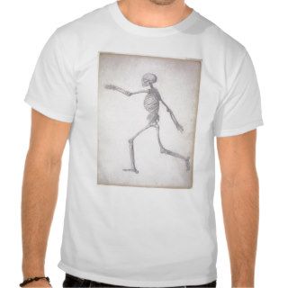 The Human Skeleton, lateral view, the series Tees