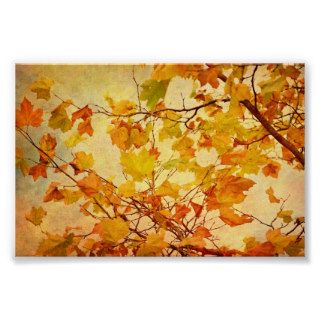 Autumn Leaves with Texture Effect Print