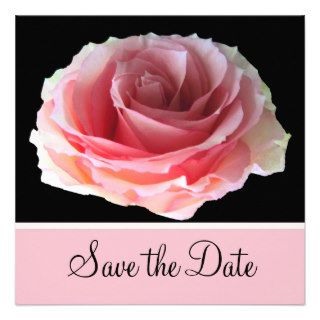 Pink Esperanza Rose Save the Date Announcement