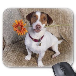I'm sorry puppy mouse mats
