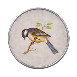 Vintage Song Bird Illustration   1800's Birds Candy Tins