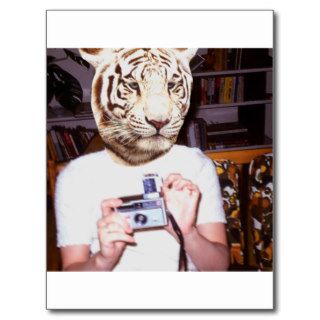 Photo tiger postcards