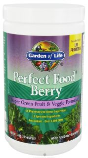 Garden of Life   Perfect Food Super Green Fruit & Veggie Formula Berry   240 Grams