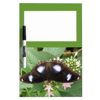 Blue Spotted Butterfly Memo Board Dry Erase Whiteboards