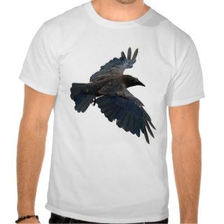 Flying Raven Corvid lover T Shirt
