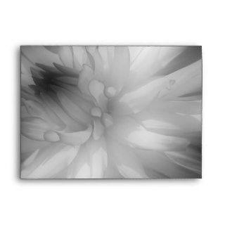 Dahlia Flower In Black And White Envelopes