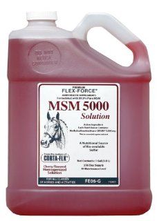 CORTA FLX Flex Force MSM 5000 Solution 128 oz  Horse Nutritional Supplements And Remedies 