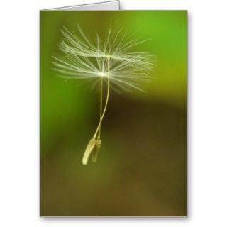 Flying seeds greeting cards