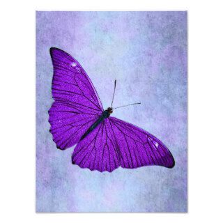 Vintage 1800s Dark Purple Butterfly Illustration Photo Art