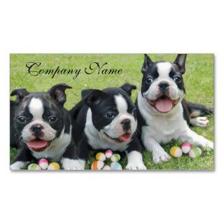 Easter Boston terriers Business Cards