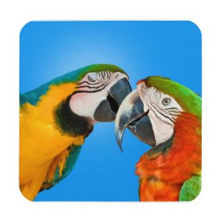 Loving Parrots Coaster Set