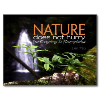 Postcard Quote "Nature does not hurry"
