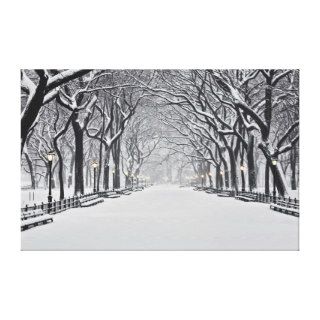 Central Park in Winter 2 Gallery Wrap Canvas