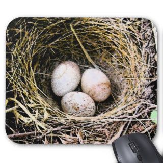 Bird Nest with Eggs Mouse Pad
