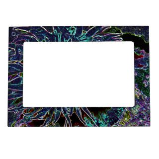 Candy Cane Sea Anemone Magnetic Picture Frame
