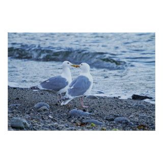 Seagulls Kissing on the Beach Photo Poster