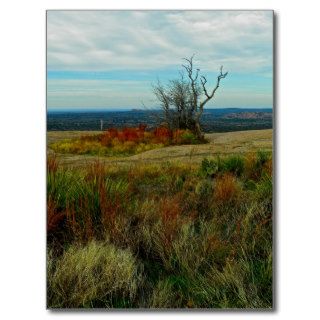 Enchanted Rock Austin Texas Hill Country USA Earth Post Cards
