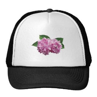 Pale Pink Hydrangea Trucker Hats