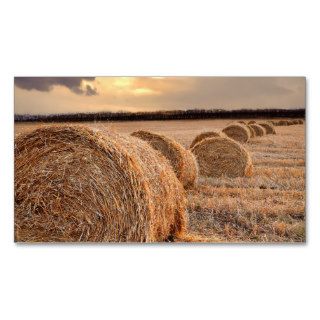 Rolls of Hay Business Cards