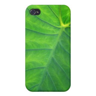Elephant Ears   Colocasia iPhone 4/4S Covers