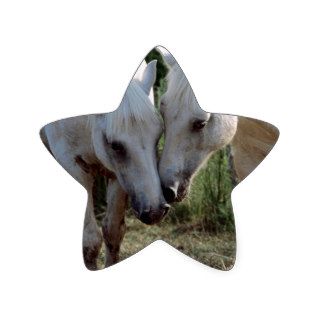 Horse Being Nosey Star Sticker