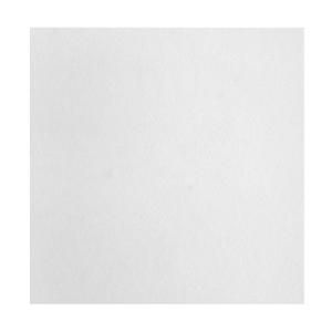 USG Ceilings Custom White Class C 1 ft. x 1 ft. Surface Mount Ceiling Tile (32 Pack) 4290