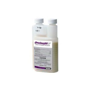Onslaught FastCap Spider and Scorpion Insecticide 2 Pints  Home Pest Repellents  Patio, Lawn & Garden