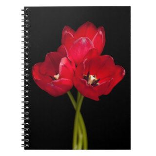 Blood Red Tulips on Black Background Customized Spiral Notebook
