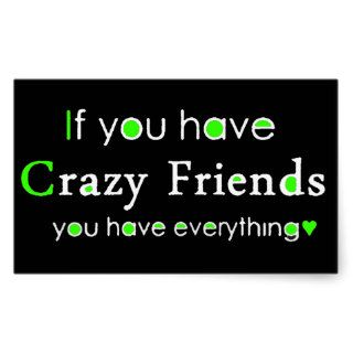 IF YOU HAVE CRAZY FRIENDS YOU HAVE EVERYTHING FUNN RECTANGLE STICKER