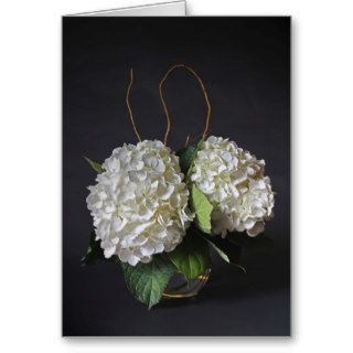 White Hydrangea (Condolence Card)