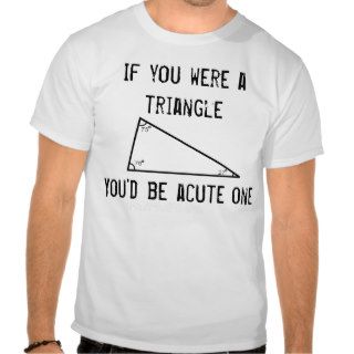 Funny Pickup Line Triangle Shirt