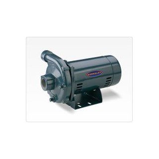 Berkeley S39522 Pump