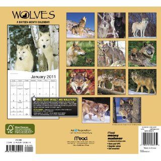 2011 Wolves Wall Calendar Mead 9781423805021 Books