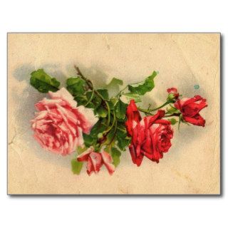 Vintage Floral Postcard