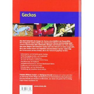 Geckos Wolfgang Schmidt Friedrich Wilhelm Henkel 9783800138548 Books