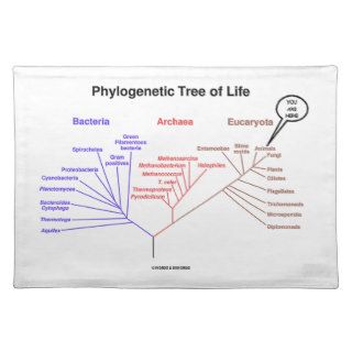  Phylogenetic Tree Of Life (Biology) Placemat