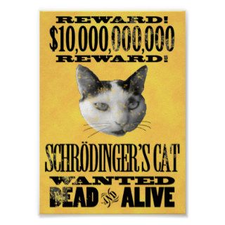 WANTED SCHRODINGER'S CAT poster