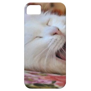 Cute Portrait Of A Yawning Van Cat iPhone 5 Cases