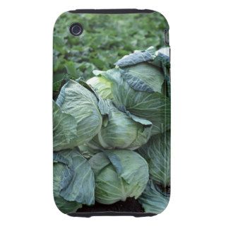 Cabbage Tough iPhone 3 Covers