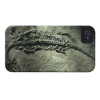 Ancient Fossil in Stone iPhone 4 Case