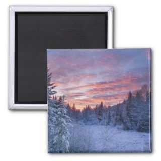 Vivid sunset paints the sky above wintery refrigerator magnet