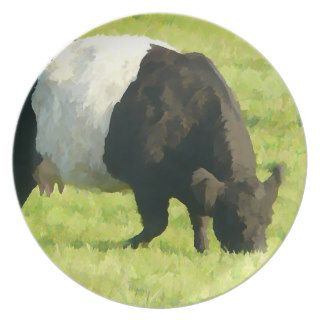 Belted Galloway on Green Pasture   Painted Style Plate