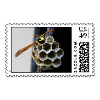 Yellow Jacket Wasp on Honeycomb Hive Postage